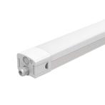 LED Tri-Proof Microwave Sensor 4500K, 5000K, 5500K, Verzenden, Nieuw in verpakking
