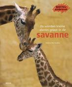 Zo worden kleine dieren groot in de savanne / Beesten, Verzenden, Zo goed als nieuw, H. Montarde