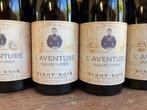 2023 Pinot Noir LAventure - Mme Veuve Point - Bourgogne -, Verzamelen, Wijnen, Nieuw