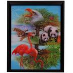 3d schilderij Pandas, Flamingos, Wolven, Adelaar en Kolibr, Huis en Inrichting, Woonaccessoires | Schilderijen, Tekeningen en Foto's