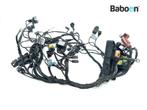 Kabelboom BMW G 650 GS 2009-2010 (G650GS G650 09)