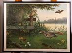 SCHOOLPLATENSHOP.NL een site met oude schoolplaten en ......, Verzenden, Natuur en Biologie