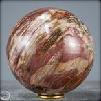 Natuurlijke sfeer van versteend hout- 3093.14 g, Verzamelen