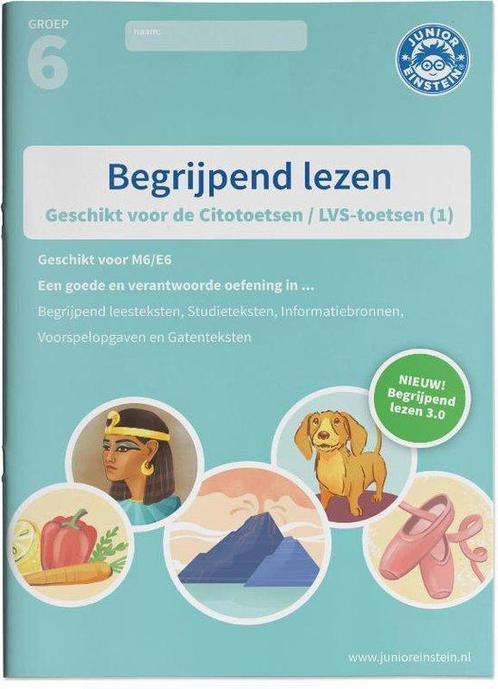 9789492265593 Begrijpend lezen Groep 6 Oefenboek (1), Boeken, Schoolboeken, Nieuw, Verzenden