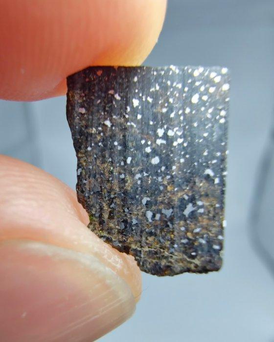 Acapulcoite meteoriet (NWA 16397). Uiterst zeldzame, Verzamelen, Mineralen en Fossielen