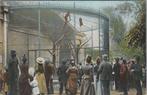 AMSTERDAM - Apenkooi in Artis, Verzamelen, Verzenden, Gelopen