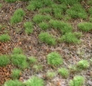 JoeFix - SCENERY GRASS MAT STEPPE SPRING 297x210MM, Hobby en Vrije tijd, Modeltreinen | Overige schalen, Gelijkstroom of Wisselstroom