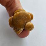 Indus Vallei Jasper XXS Turtle Bead Talisman - symbool van