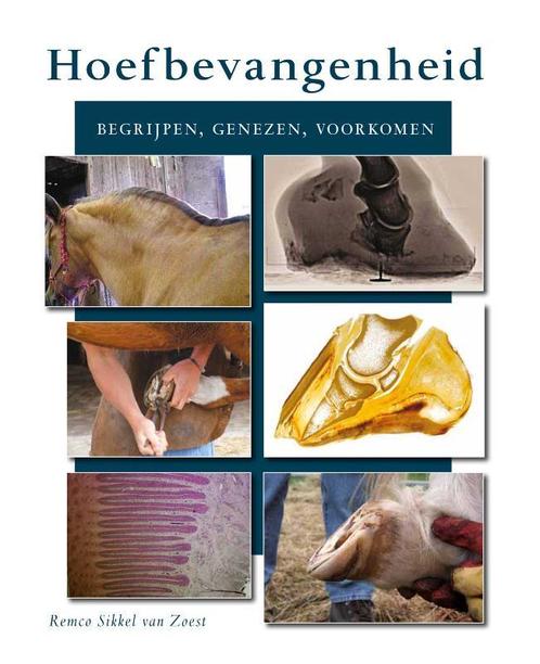 Hoefbevangenheid 9789079249268 Remco Sikkel van Zoest, Boeken, Wetenschap, Gelezen, Verzenden