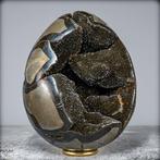 Zeer decoratieve septarien Ei met calcietkristallen- 4179.22