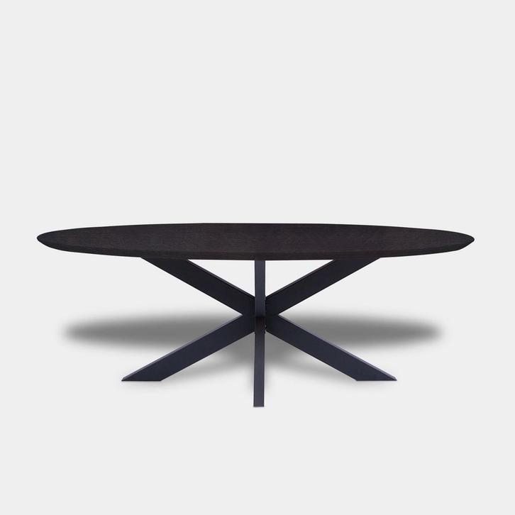 Tafel Ovaal Eikenhout  Matrix  200x100, Huis en Inrichting, Tafels | Eettafels