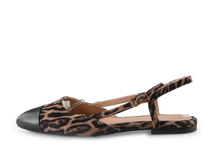 Steve Madden Ballerinas in maat 38 Panter | 10% korting, Kleding | Dames, Schoenen, Overige kleuren, Gedragen, Ballerina's, Verzenden