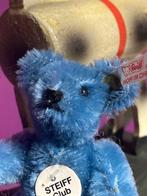 Steiff: Teddybeer Blauw, clubgeschenk 1998, - Teddybeer -