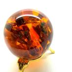 Bal met bij en Baltische amberstenen - Barnsteen - Succinite