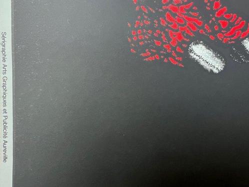 René Gruau - Poster decorativo- Il rinoceronte-, Antiek en Kunst, Kunst | Tekeningen en Foto's