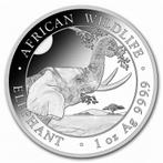 Somalische Olifant 1 oz 2023, Zilver, Losse munt, Overige landen, Verzenden