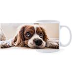 Beker - Cocker Spaniel Hond Liggend op Snuit NIEUW, Ophalen of Verzenden, Nieuw