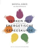 9789401304528 Werken met energetische geneeskunde, Boeken, Verzenden, Gelezen, Donna Eden