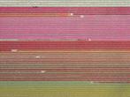 Bernhard Lang - AV_Tulip_Fields_035 - XXL