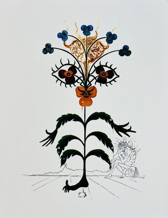 Salvador Dali (1904-1989) - La Pensée, Antiek en Kunst, Antiek | Overige Antiek