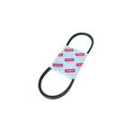 V-snaar, HM29 - Yanmar, Watersport en Boten, Ophalen of Verzenden, Nieuw, Motor en Techniek, Zeilboot of Motorboot