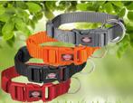 Trixie premium halsband voor honden, Verzenden, Nieuw