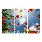Klaprozen plafond Fotoprint verdeeld over 6 panelen 60x60 cm, Ophalen of Verzenden, Nieuw in verpakking