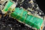 Enkele EMERALD kristallen met zwarte TOERMALIJN rozetten -, Verzamelen, Mineralen en Fossielen
