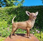 Beeldje - Chihuahua - hond - Brons