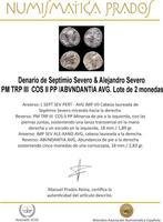 Romeinse Rijk. Septimio Severo & Alejandro Severo. Denarius