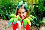 jonge agapornis papegaaien in diverse kleuren, Dieren en Toebehoren, Vogels | Parkieten en Papegaaien, Meerdere dieren, Pratend