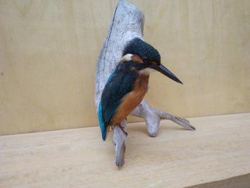 Vintage Europese ijsvogel - jaren 90 - Taxidermie volledige beschikbaar voor biedingen