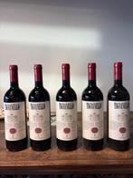 2020 Marchesi Antinori, Tignanello - Toscane IGT - 5 Flessen, Verzamelen, Wijnen, Nieuw