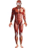 Anatomy Man Second Skin Morph Suit Kostuum - M | Nieuw! |, Nieuw, Verzenden