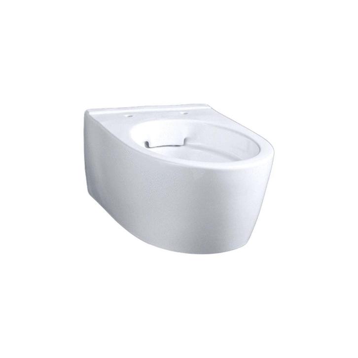 Wandcloset Geberit Icon Compact Randloos 49 CM Wit, Doe-het-zelf en Verbouw, Sanitair, Ophalen of Verzenden