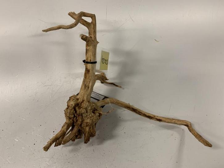 Driftwood Selected DW24 - 39x34x16cm (Small drift wood), Dieren en Toebehoren, Vissen | Aquaria en Toebehoren, Plant(en), Steen of Hout