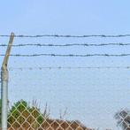 vidaXL Prikkeldraad Groen 50 m Warmgedipte Gegalvaniseerde, Verzenden, Nieuw