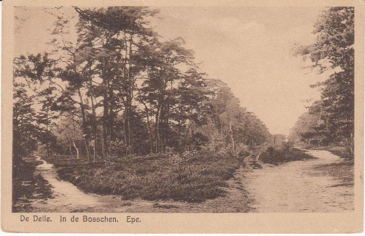 EPE - De Delle. In de Bosschen, Verzamelen, Ansichtkaarten | Nederland, Verzenden