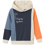 Trui hoodie Distian (bird of paradise), Kinderen en Baby's, Kinderkleding | Maat 140, Nieuw, Jongen, Trui of Vest, Name It