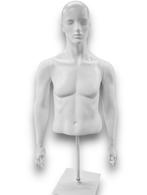 Torso heren 1/2 model met armen white N73005-563, Zakelijke goederen, Kantoor en Winkelinrichting | Winkel en Inventaris