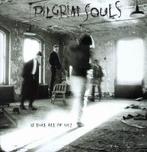 LP gebruikt - Pilgrim Souls - Is This All Of Us?, Cd's en Dvd's, Verzenden, Zo goed als nieuw