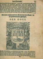 Cartografische prent van Goes, Antiek en Kunst