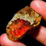 Opaal Bruto multicolore vuursteen - Zeer zeldzaam! 61,5 Ct-, Verzamelen