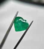 Zonder Minimumprijs Groen Smaragd - 9.59 ct - Lotus Gemology, Sieraden, Tassen en Uiterlijk, Edelstenen, Nieuw