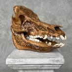 GEEN MINIMUMVERKOOPPRIJS - Bruin gesneden patina wild zwijn, Antiek en Kunst, Curiosa en Brocante