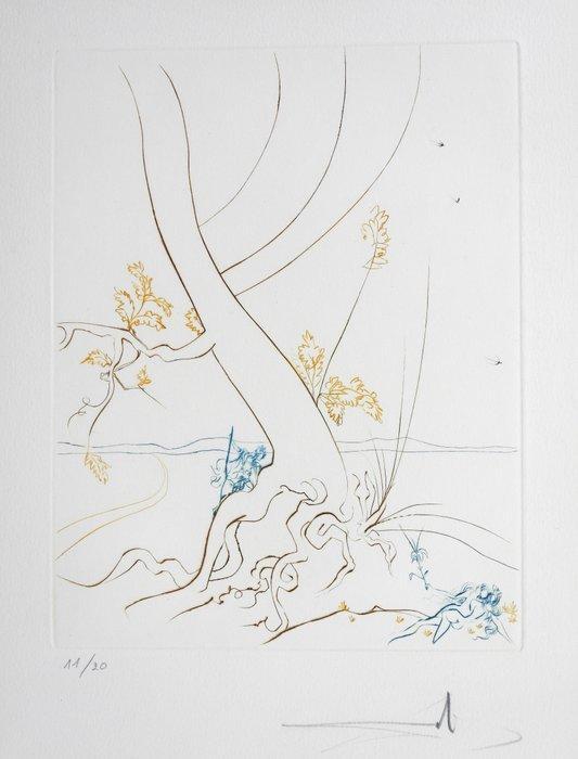 Salvador Dali (1904-1989) - Le Paradis Terrestre - LArbre, Antiek en Kunst, Antiek | Overige Antiek