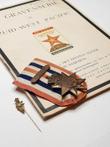 Nederland - KNIL Oorlogsvrijwilliger - Medaille,