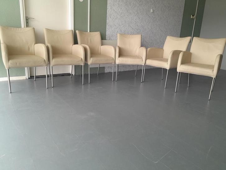 eetkamerstoelen 6 leer armleuning Plantagie topkwaliteit, Huis en Inrichting, Stoelen, Vijf, Zes of meer stoelen, Wit, Gebruikt