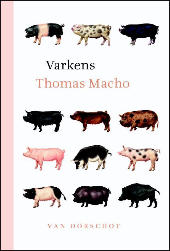 Varkens | Thomas Macho, Boeken, Overige Boeken, Nieuw, Ophalen of Verzenden