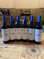 2020 Giovanni Bulgari Podernovo a Palazzone Argirio Cabernet, Nieuw